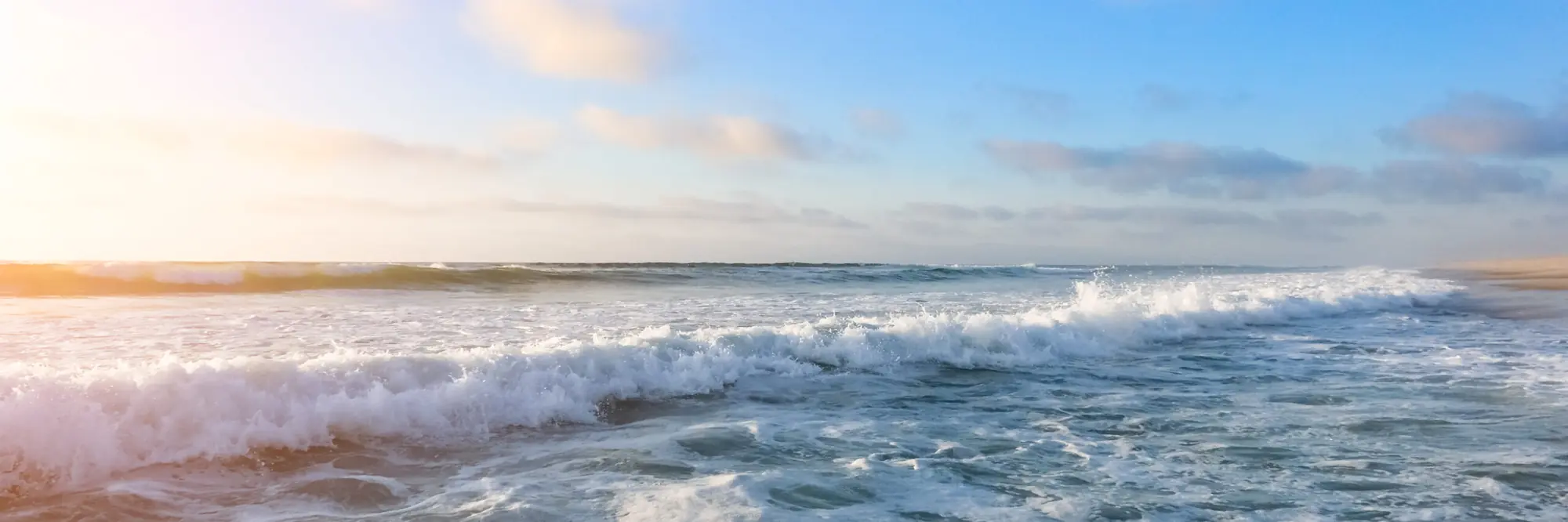 Sonnenuntergang über der Ostsee mit Dünengras im Vordergrund