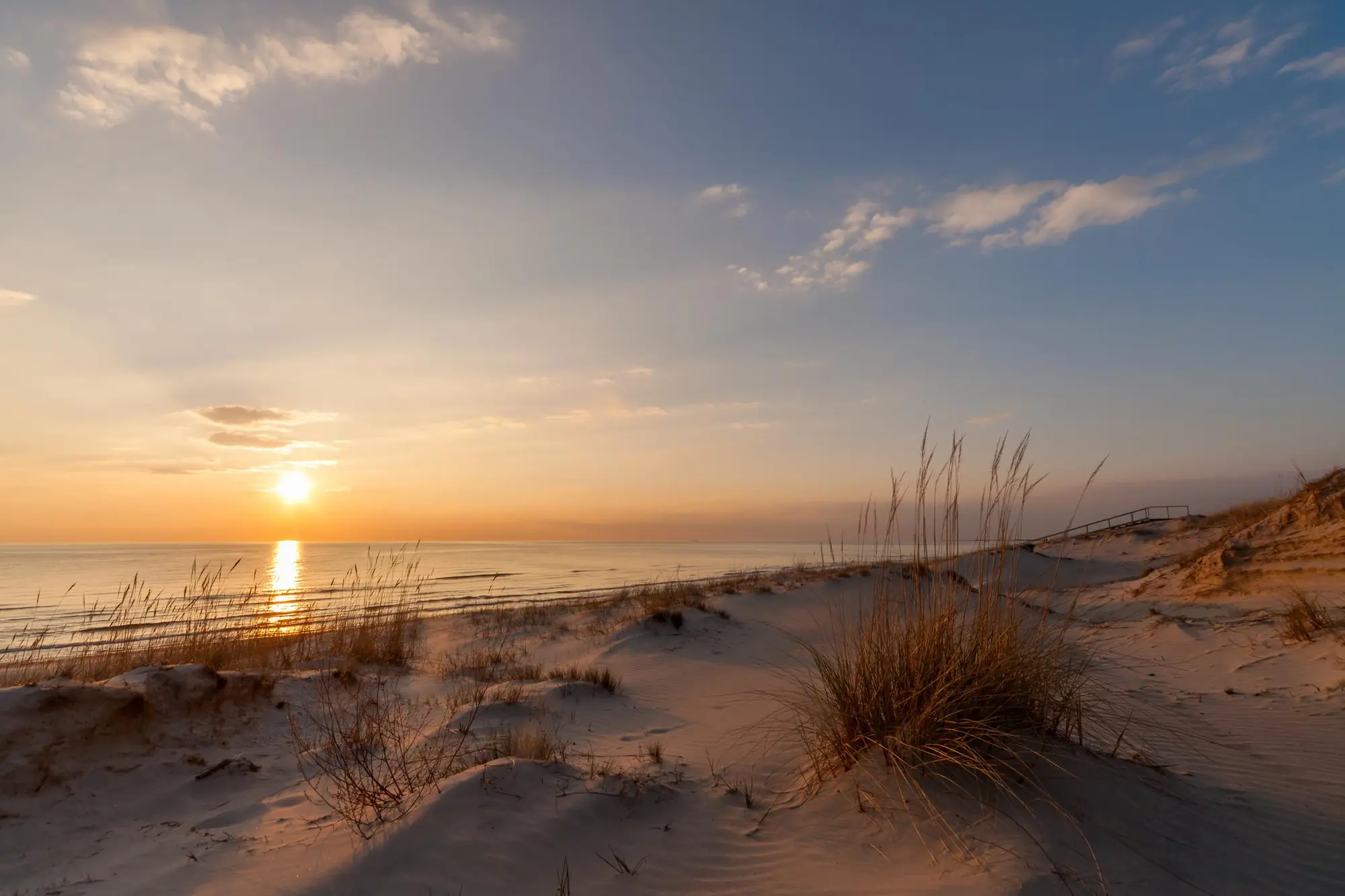Sonnenuntergang über der Ostsee mit Dünengras im Vordergrund